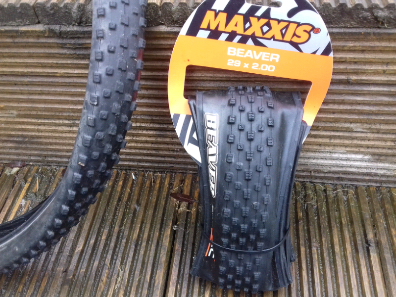 maxxis beaver 29